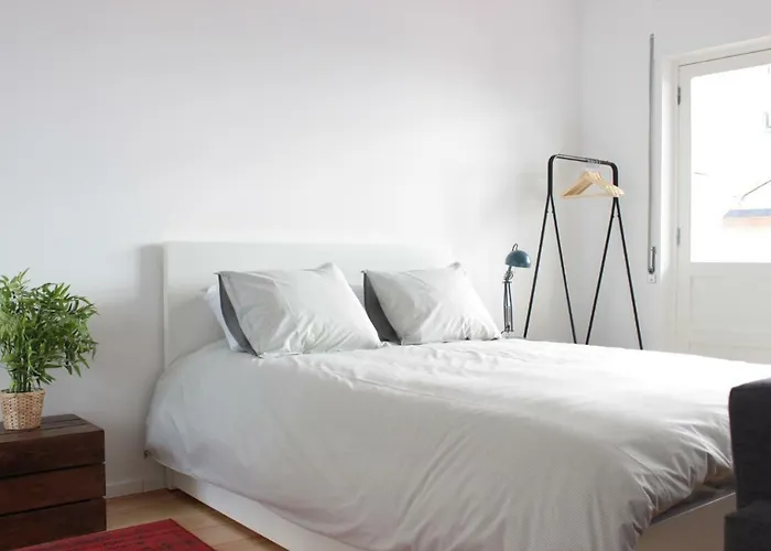 Sao Miguel 50 * Oporto